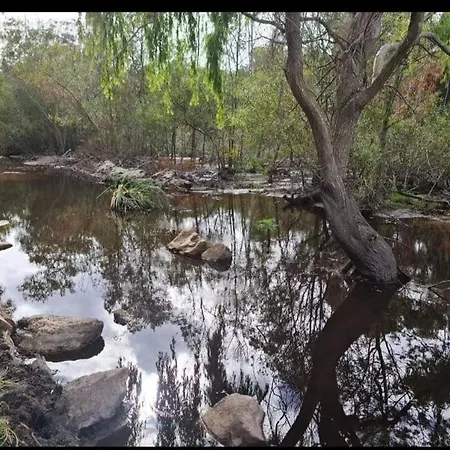 4 Bed Selfcatering River Tree House Overlooking The Onrus River Hermanus Exterior foto